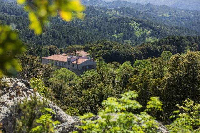 Domaine Le Mouflon d'Or